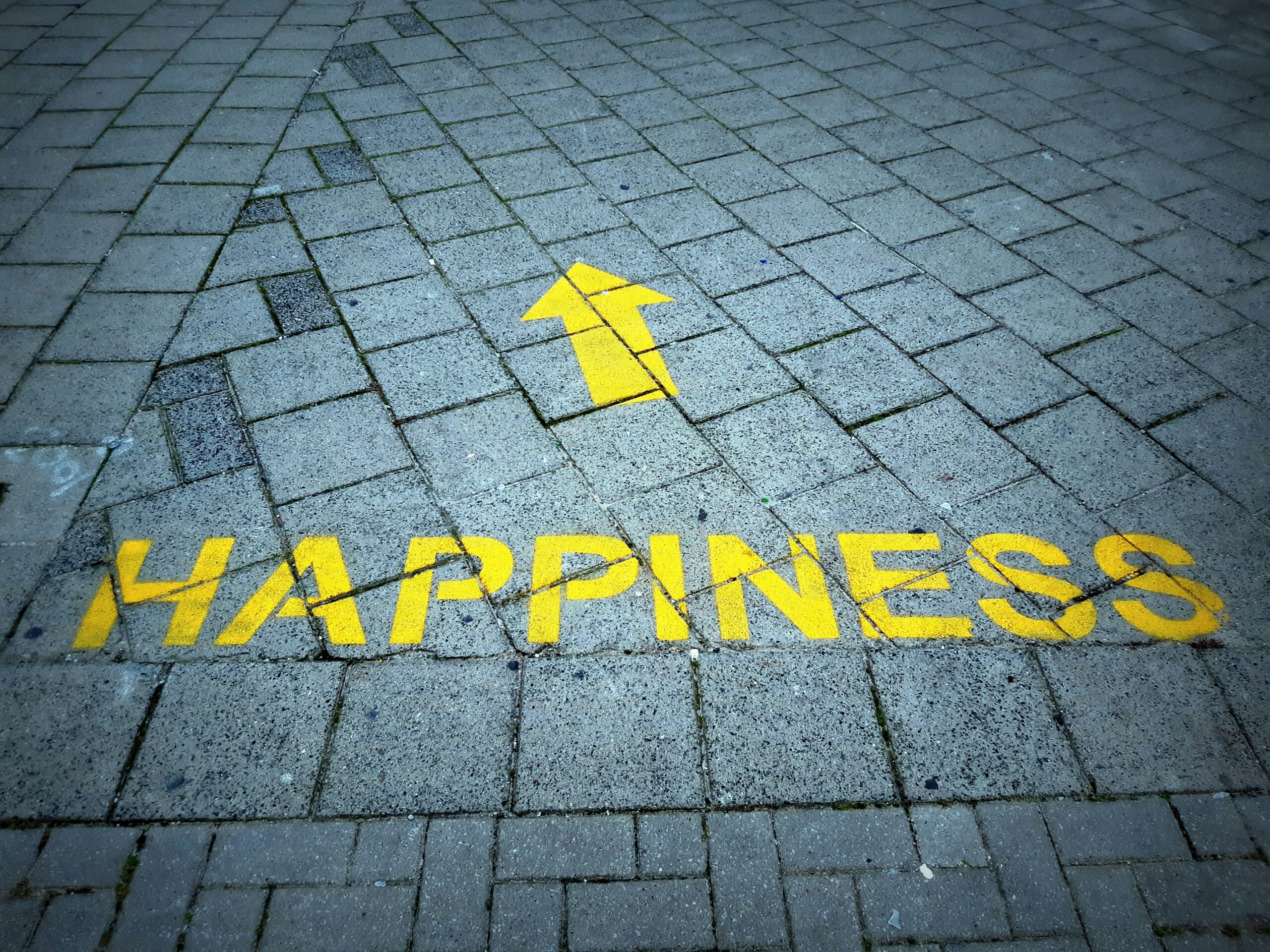 Cultivate Your Happy: Train Your Brain for Lasting Joy